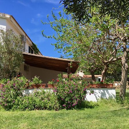 Agriturismo Asara Padru Exterior photo