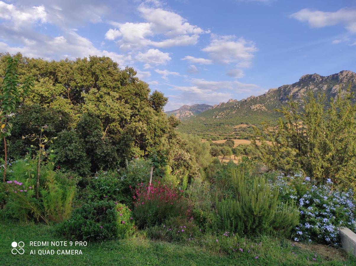 Agriturismo Asara Padru Exterior photo